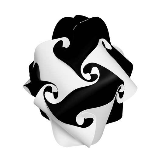 Rose (Black & White)